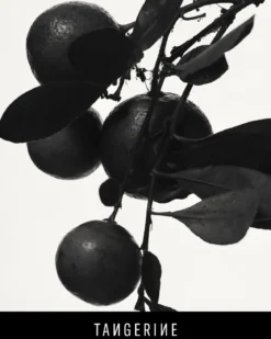Fenty Eau De Parfum Travel Set + Refills