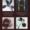 Fenty Parfum Solid Fragrance