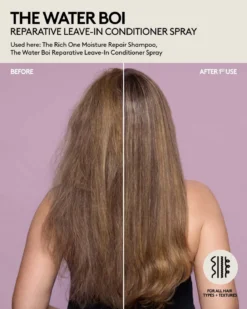 The Water Boi Reparative Leave-In Detangling Conditioner Spray